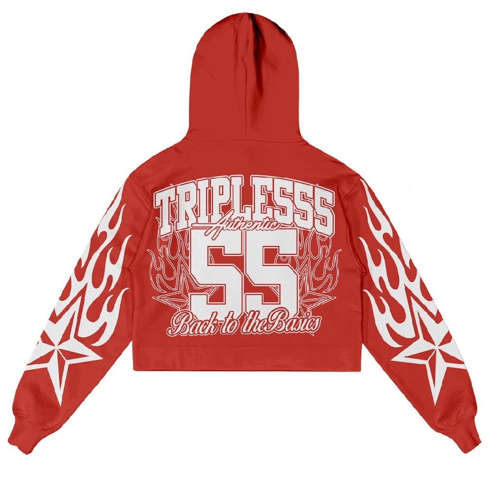 TRIPLE 555 Basic Hoodies